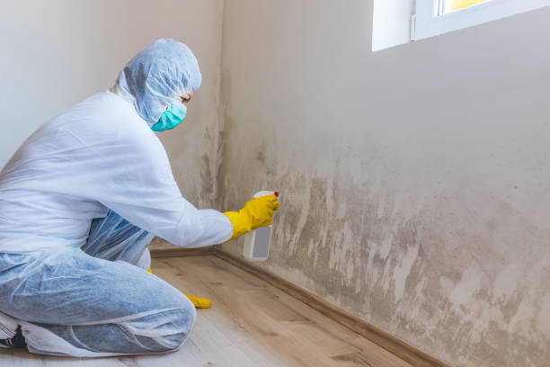 Crawl Space Mold Remediation treatment of floor joists in Chandler